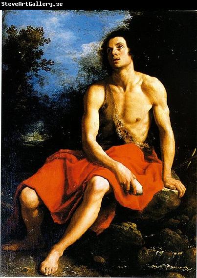 Cristofano Allori John the Baptist in the desert